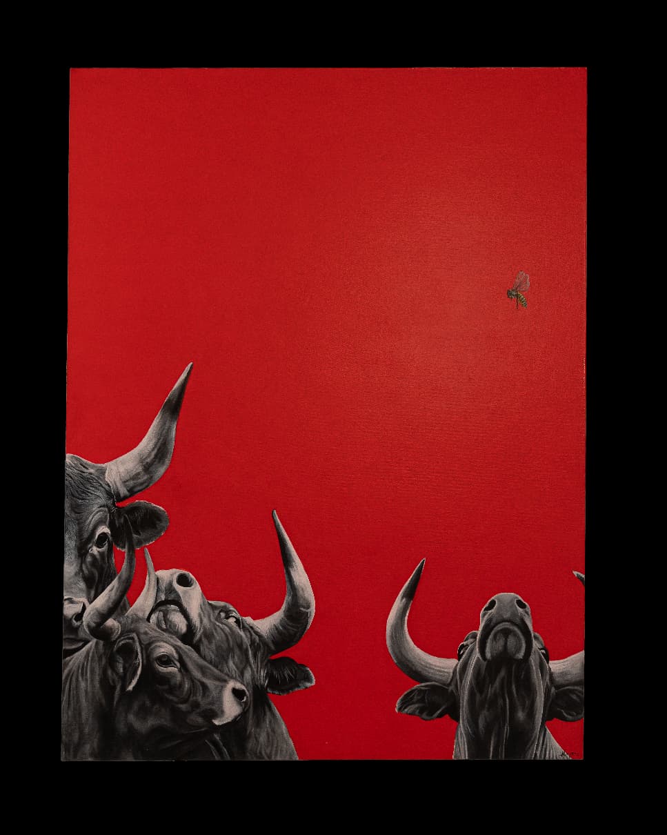 NYATI  III -The FLY XI